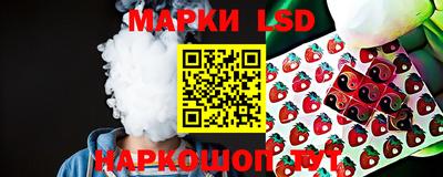 apvp Славгород