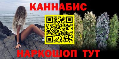 apvp Славгород